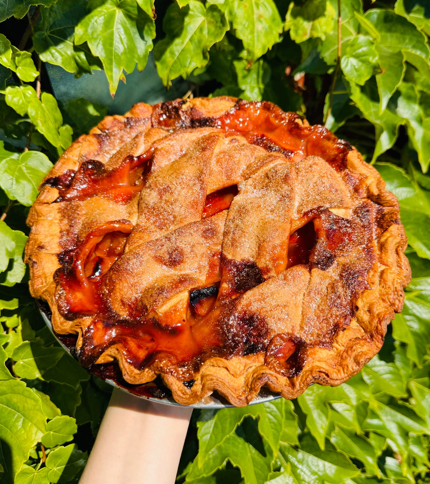Peach Pie