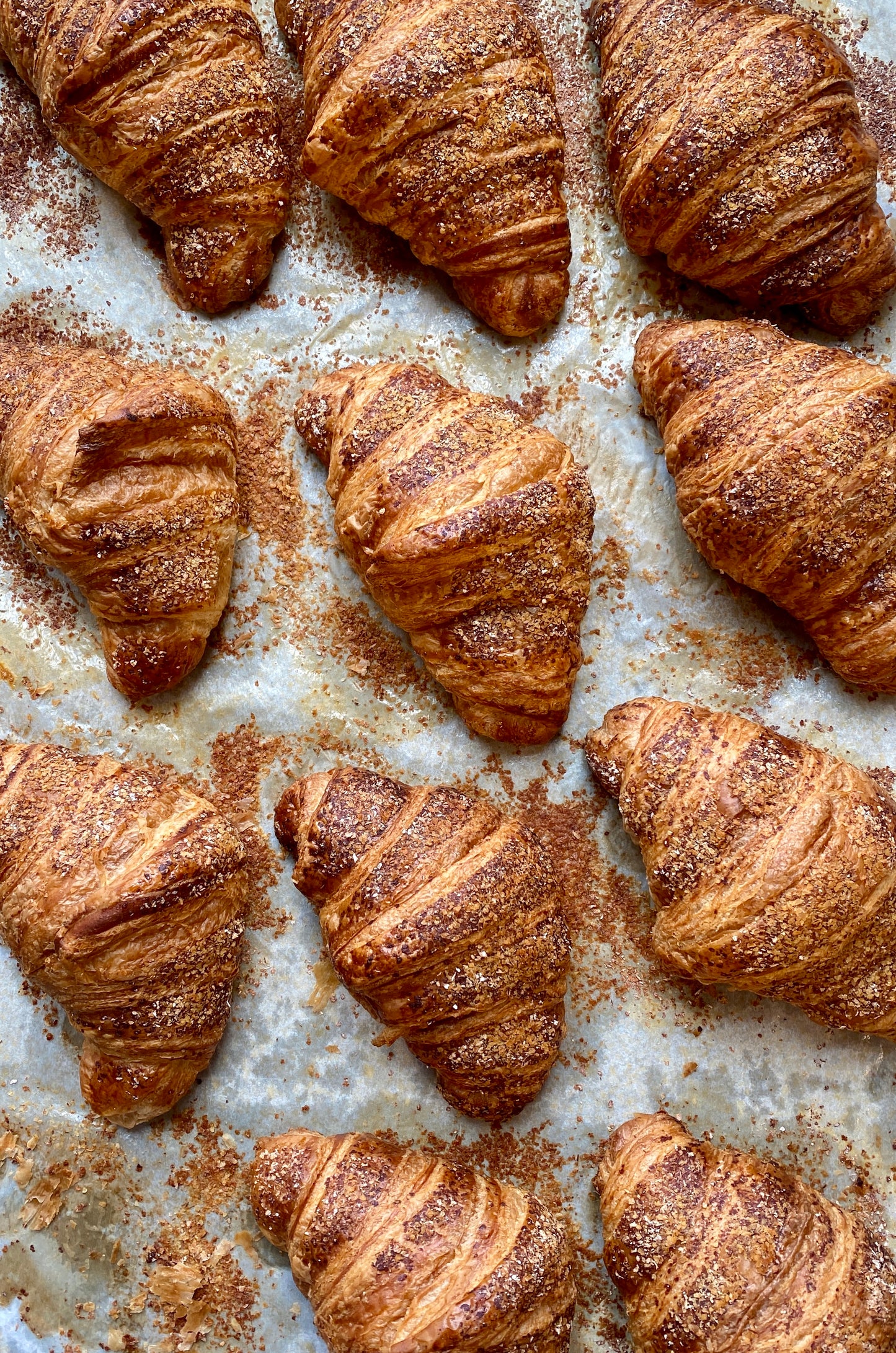 Whole Wheat Croissant