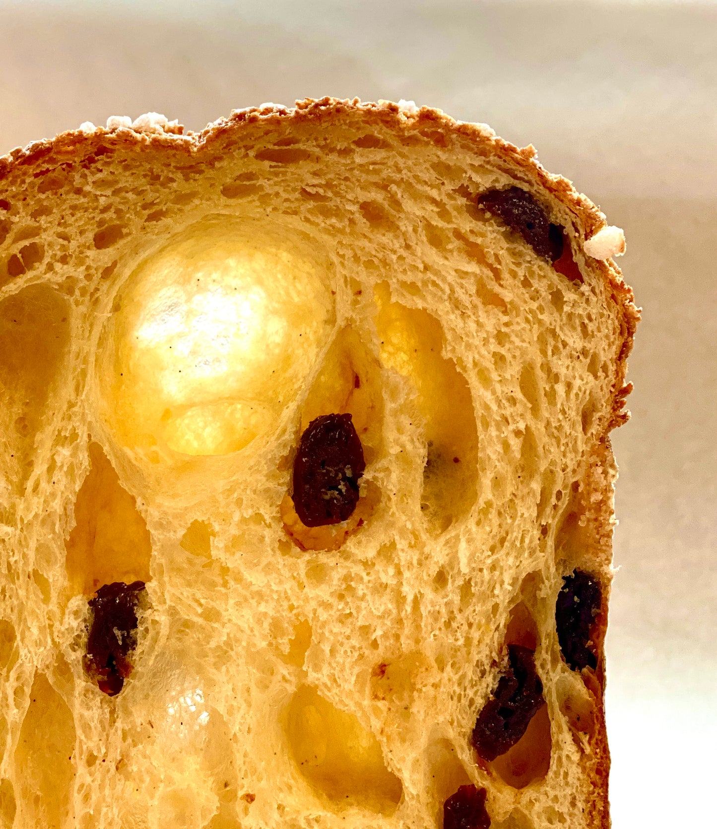 Chocolate-Cherry Panettone