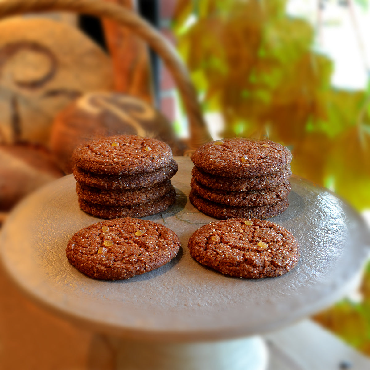 Ginger Molasses Cookie