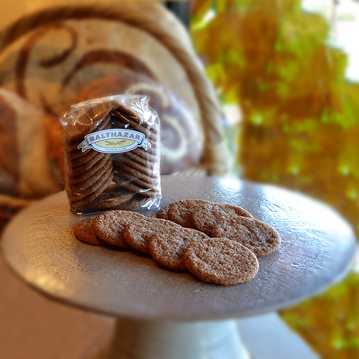 Ginger Molasses Cookie