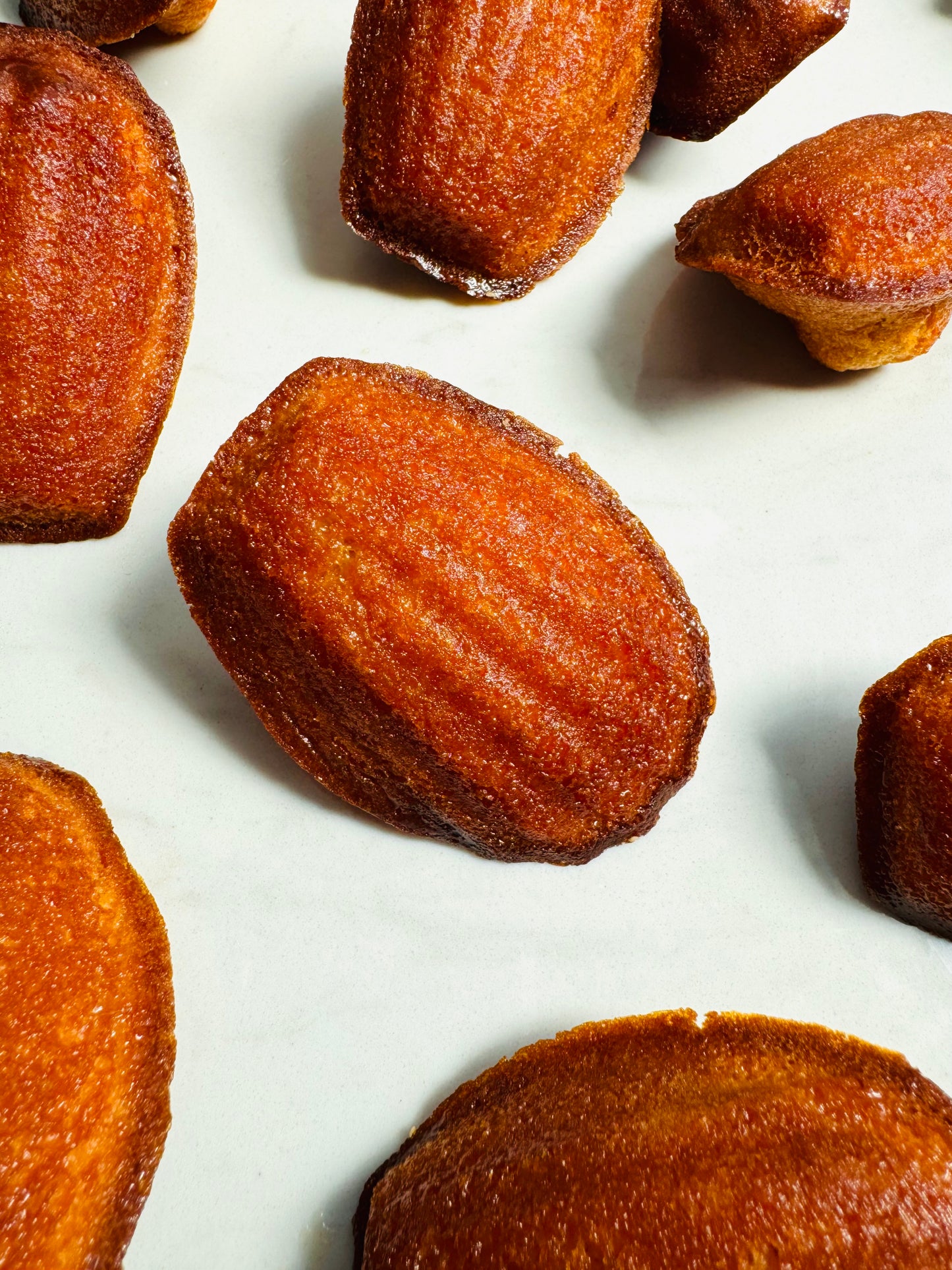Honey Madeleines (Box of six)